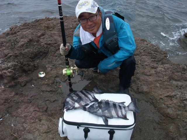 アトミックスライダー 石鯛 20号 600m イエローグリーン メイン ボビン巻 ナイロン イシダイ アトミックスライダー石鯛 ２０号 ６００ｍ 大物／石鯛釣り