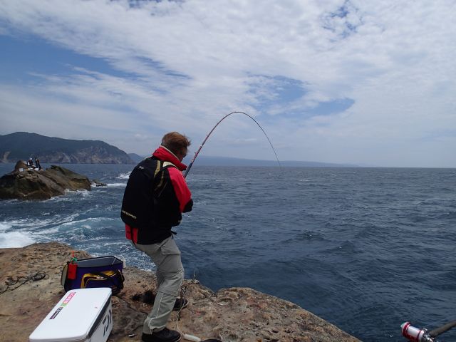 百戦錬磨の名手がアトミックスライダー磯2号で良型グレ爆釣の高知県