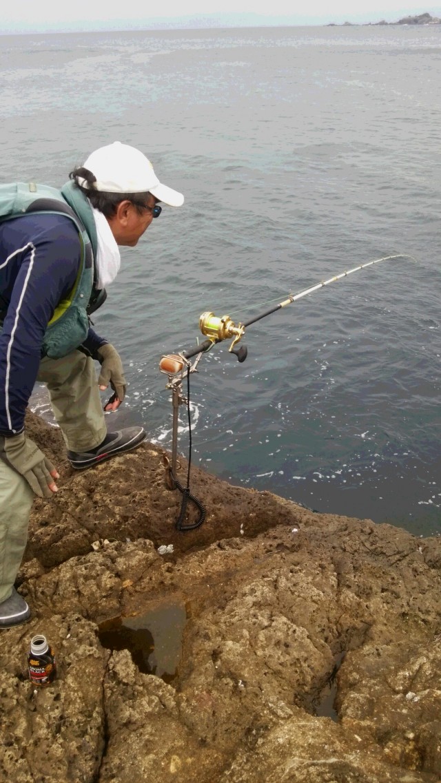 出た紀伊半島！大判石鯛70．3cm！アトミックスライダー石鯛