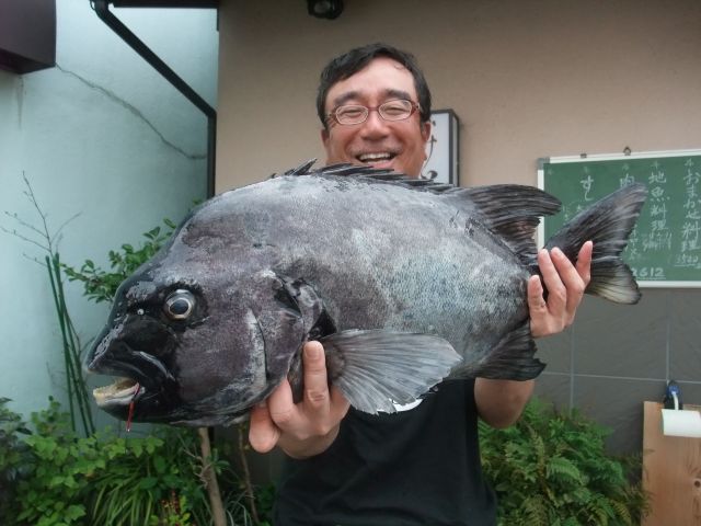 出た紀伊半島！大判石鯛70．3cm！アトミックスライダー石鯛