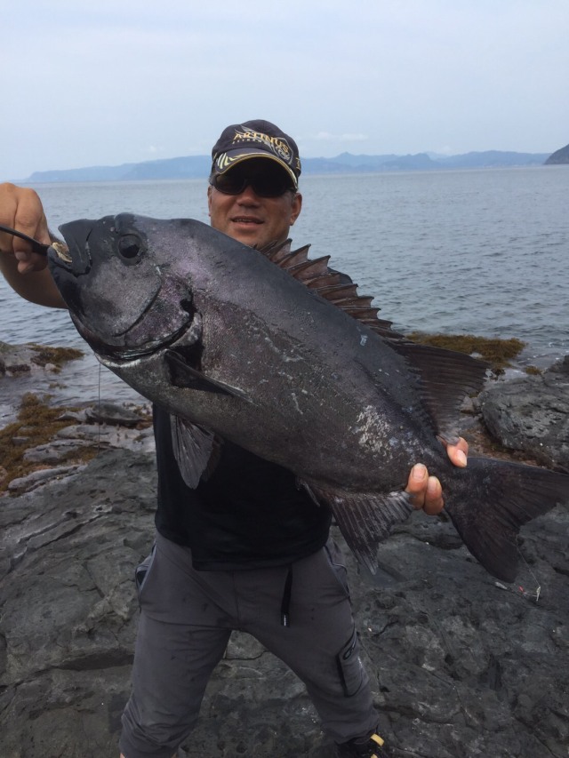 石鯛・アラなどに CHONMAGE FISHING クエ 石鯛 夜光 石突 九絵 アラ竿 HHH インパルス 腹